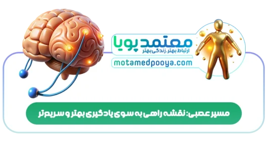 مسیر عصبی: نقشه راهی به سوی یادگیری بهتر و سریعتر