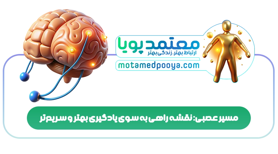مسیر عصبی: نقشه راهی به سوی یادگیری بهتر و سریعتر
